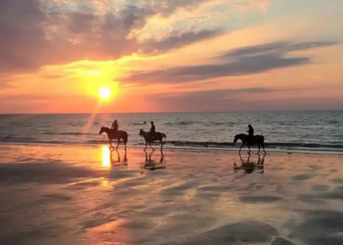 45m2 - Proche Deauville - Vue