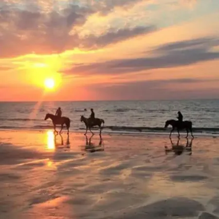 45m2 - Proche Deauville - Vue